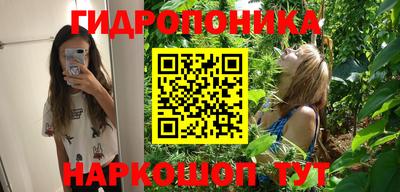 PSILOCYBIN Канаш