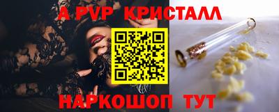 спиды Кандалакша