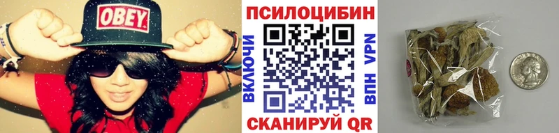 Псилоцибиновые грибы Cubensis  Вологда 