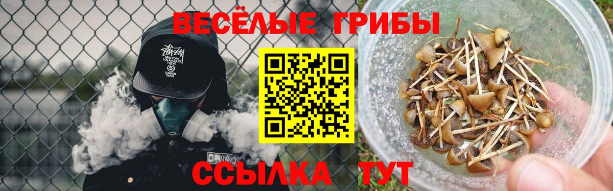 Галлюциногенные грибы MAGIC MUSHROOMS  Вход с VPN  Вологда 