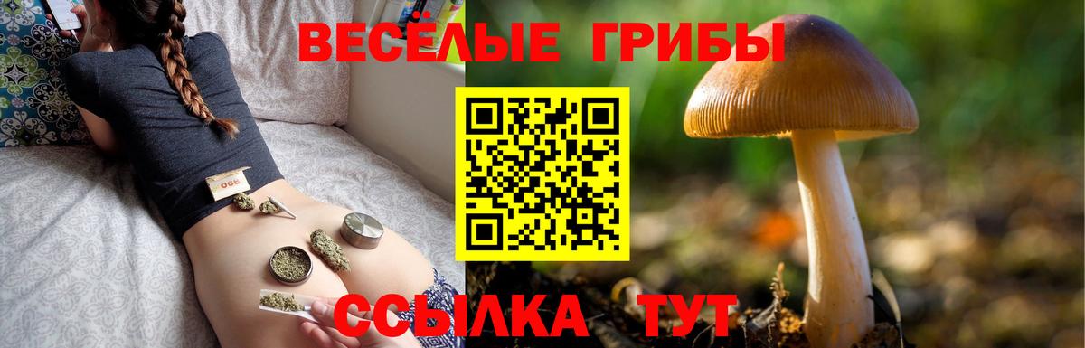 Галлюциногенные грибы мухоморы Вологда